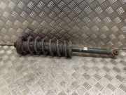 Stoßdämpfer hinten links HONDA ACCORD VII (CL, CN) 2.2 i-CTDi (CN1)