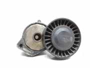 Riemenspanner VOLVO V70 III (BW) D3 / D4