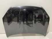 Motorhaube Nissan Qashqai (J10)