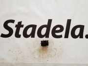 Stellelement für Außenspiegel Mercedes-Benz M-Klasse (W163) A1638203110