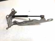 Motorhaubenscharnier links Volvo S80 II (124) 31250185