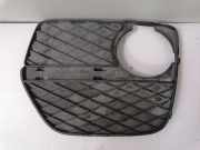 Kühlergrill links BMW X6 (E71, E72) 7312605