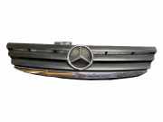 Vorderer oberer Gitter MERCEDES-BENZ A (W169) A 200 CDI (169.308) 135000001