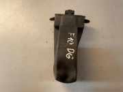 Türanschlag hinten rechts BMW 5 (F10) 520 d