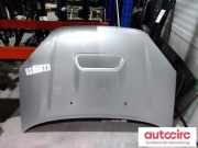 Motorhaube Toyota RAV 4 II (A2) 5330142050