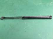 Heckklappe Gasdruckfeder rechts MERCEDES-BENZ C (W203) C 220 CDI (203.006) 2039800164