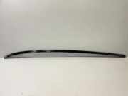 Dachleiste links BMW X6(G06) xDrive 30 d 9478233