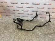 KRAFTSTOFFVERTEILER EINSPRITZLEISTE VERTEILERROHR FORD FOCUS (DAW, DBW) 1.8 Turbo DI / TDDi 96356