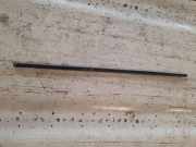 Türverkleidung rechts hinten BMW X5 (E70)