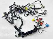 Kabelbaum Innenverkleidung PEUGEOT 5008 II (MC, MJ, MR, M4) 1.5 BlueHDi 2H19A0Z1