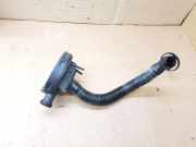 Schlauch für Zylinderkopfhaubenentlüftung VW Eos (1F)