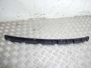 Stoßstangenhalterung hinten links