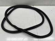 Dichtungsgummi der hinteren Tür (an der Karosserie) BMW X7 (G07) xDrive 30 d 7431142