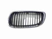 Vorderer oberer Gitter BMW 3 Cabrio (E93) 330 d 1020210507