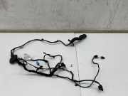 Türverkabelung hinten links AUDI Q8 E-TRON Sportback 55 quattro 4KE971687D