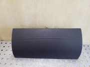 Andere Verkleidungsteile NISSAN PATHFINDER III (R51) 2.5 dCi 4WD 68210EB420