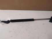 Heckklappe Gasdruckfeder links TOYOTA AVENSIS VERSO (_M2_) 2.0 D (CLM20_) 6896044080