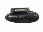 Türaußengriff hinten links