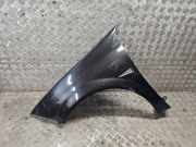 Kotflügel vorne links RENAULT MEGANE II (BM0/1_, CM0/1_) 1.5 dCi (BM0F, CM0F)