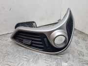 Ziergitter Hyundai iX35 (LM) 974202S950