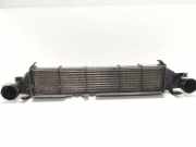 Ladeluftkühler Mercedes-Benz C-Klasse (W203) A2035000000