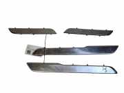 Zierleiste Citroen DS5 ()