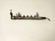 Einspritzleiste Land Rover Range Rover Evoque I (L538) 9670890580