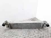 Ladeluftkühler RENAULT ESPACE IV (JK0/1_) 2.2 dCi (JK0H) 878046GB 8200301883