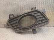 Gitter Grill vorne rechts MERCEDES-BENZ A (W169) A 180 CDI (169.007, 169.307) 1698851022
