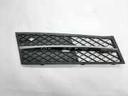 Gitter Grill vorne rechts BMW 5 (F10) 520 d 7200700 7231860