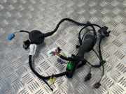 Türverkabelung hinten rechts AUDI Q7 (4M) 2020 SQ7 TDI Quattro 4M0971030FT