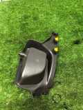 Innenschwellenzierleiste hinten links FORD FOCUS IV (HN) 1.0 EcoBoost BM51A13245A