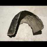 Innenkotflügel hinten links MERCEDES-BENZ E (W213) E 220 d (213.004) A2146904901