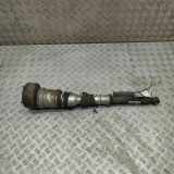 Pneumo-Stoßdämpfer hinten links MERCEDES-BENZ S (W221) S 350 BlueTec (221.026, 221.126) A2213202113