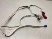 Türverkabelung hinten links MERCEDES-BENZ CLS (C219) CLS 320 CDI (219.322) A2195404305