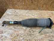 pneumatischer Stoßdämpfer hinten rechts TESLA MODEL S 85 6006353-00-C 600635300C