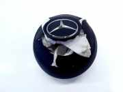 Lenkrad Airbag MERCEDES-BENZ GLA (H247) GLA 200 (247.787) 310445098162