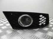 Nebelscheinwerfer links MERCEDES-BENZ CLS (C218) CLS 350 BlueTEC / d (218.326) 0306200001 1305200042