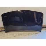 Motorhaube RENAULT MEGANE II (BM0/1_, CM0/1_) 2.0 Renault Sport