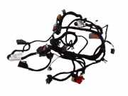 Kabel der vorderen linken Tür AUDI A8 D3 (4E2, 4E8) 4.0 TDI quattro 4E0971561B 4E0971035D