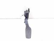 Fahrpedal Nissan Qashqai II (J11) 180024BA0B