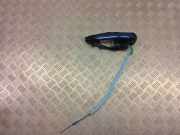 Türgriff links hinten BMW X3 (G01, F97) 9881775