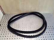 Türgummi links vorne Volvo S80 I (184)