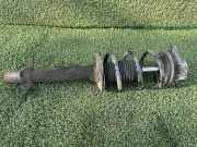 Stoßdämpfer vorne links CITROËN JUMPER Furgon (230L) 1.9 D 5202XH 50707700