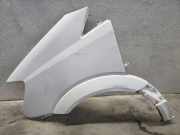 Kotflügel vorne links MERCEDES-BENZ SPRINTER 3-t Van (910) 214 CDI (910.621, 910.623)