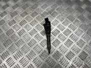 Düsenstöcke Peugeot 307 () 0445110076