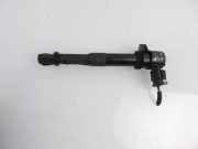 Zündspule FIAT STILO (192_) 1.6 16V (192_XB1A) 0040100320