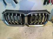 Vorderer oberer Gitter BMW X1 (U11) BMW X1 (U11) sDrive 18 d 00424