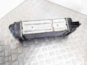 Ladeluftkühler PEUGEOT 407 SW (6E_) 2.0 HDi 135 874823NK