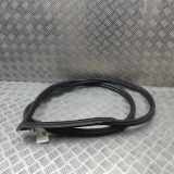 Türdichtung vorne rechts PORSCHE 911 (997) 3.6 Carrera 4 997537076